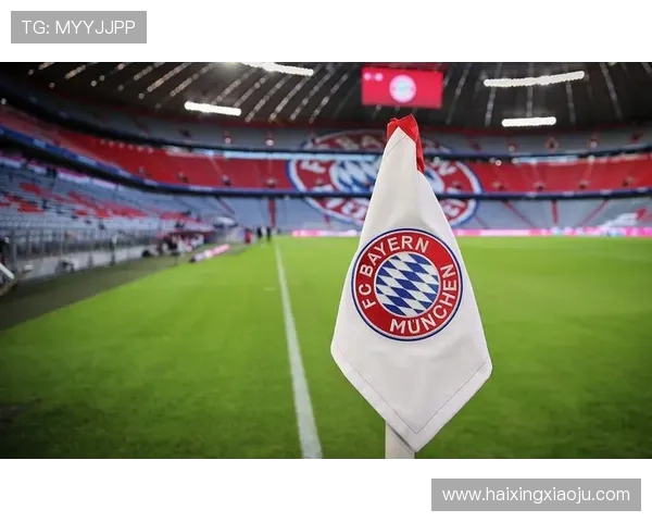 哪些德甲球队由联盟或政府帮助建造主场球场? 哪些德甲球队由联盟或政府帮助建造主场球场?