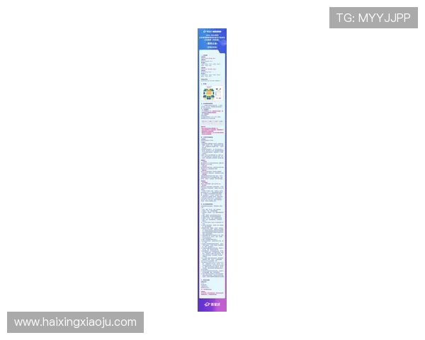 火箭队篮球直播最新观看入口与时间安排