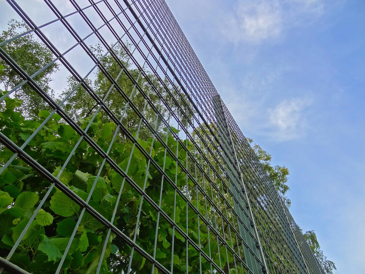 福建110网上报警平台官网，构建安全便捷的警民互动新桥梁